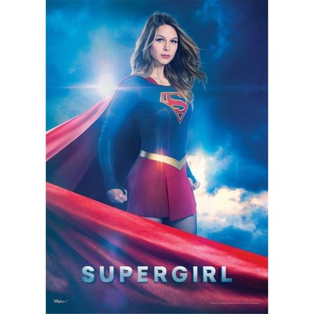 TREND SETTERS Supergirl a Hero for Everyone MightyPrint Wall Art TR127197